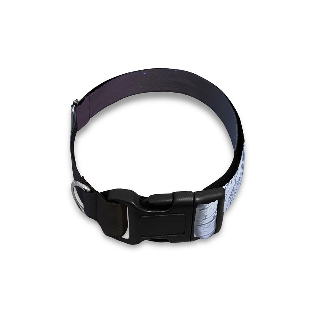 UFO Pyramid Print Dog Collar