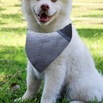 UFO Pyramid Print Over The Collar Dog Bandana