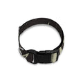 United We Stand American Flag Print Dog Collar