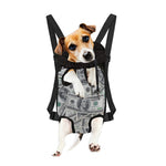 US Dollar Pattern Print Pet Carrier Backpack