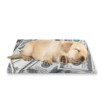 US Dollar Pattern Print Pet Cooling Mat Cover