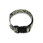 US Dollar Print Dog Collar