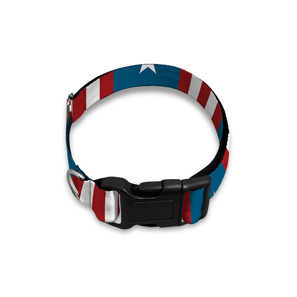 USA Independence Day Pattern Print Dog Collar