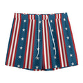 USA Independence Day Pattern Print Mesh Shorts