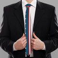 USA Independence Day Pattern Print Necktie