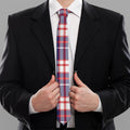 USA Patriotic Plaid Print Necktie
