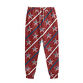 USA Patriotic Star Pattern Print Sweatpants