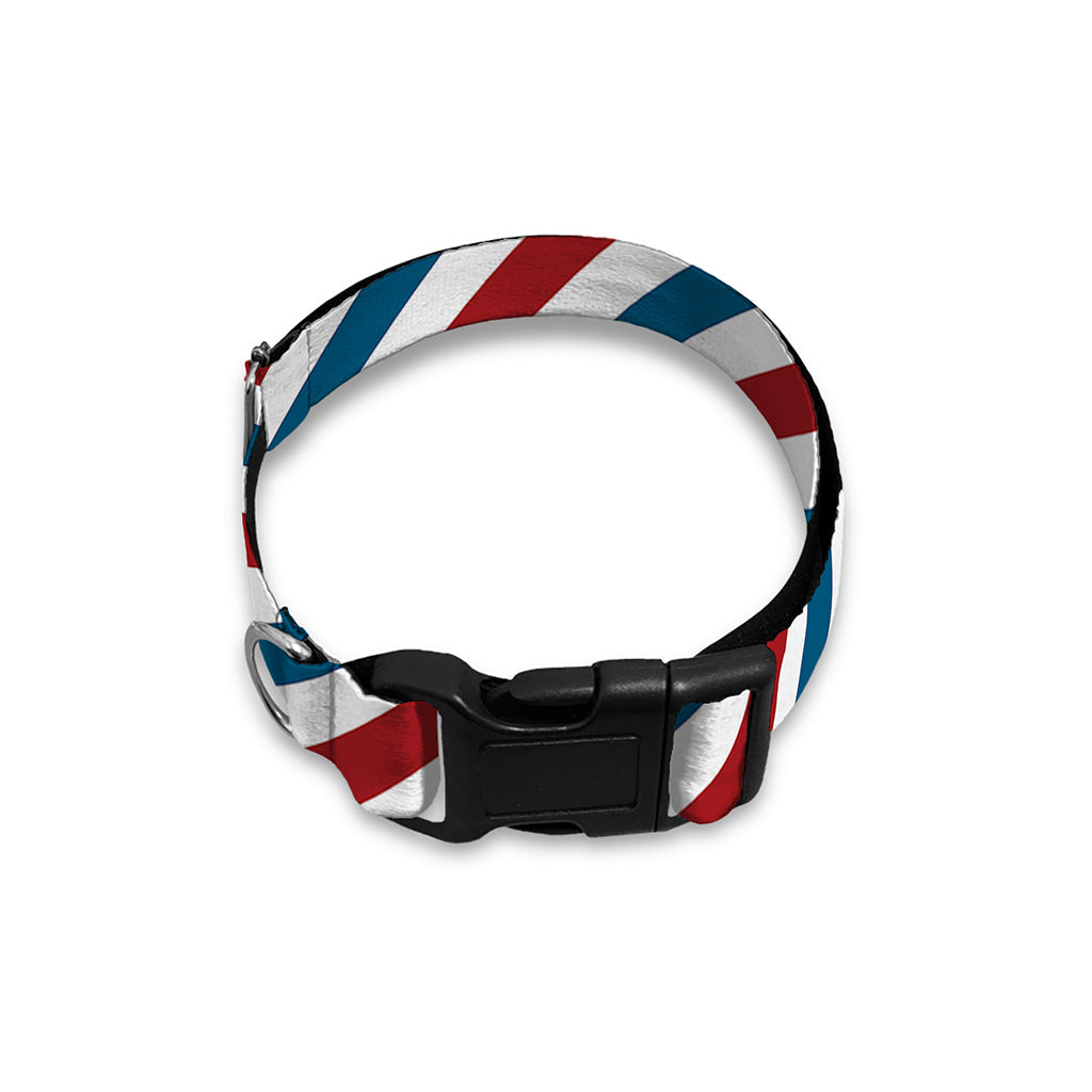USA Patriotic Striped Pattern Print Dog Collar