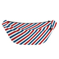 USA Patriotic Striped Pattern Print Fanny Pack