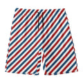 USA Patriotic Striped Pattern Print Men's Swim Trunks