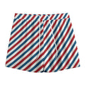 USA Patriotic Striped Pattern Print Mesh Shorts
