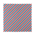 USA Patriotic Striped Pattern Print Silk Bandana