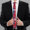 USA Plaid Pattern Print Necktie