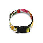 Vegan Fruits And Vegetables Print Dog Collar