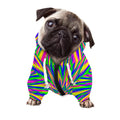 Vibrant Psychedelic Optical Illusion Dog Zip Up Hoodie
