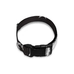 Victory King Of Boxing Print Dog Collar