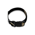 Viking Nordic Runes Pentagram Print Dog Collar