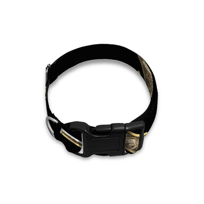 Viking Nordic Runes Pentagram Print Dog Collar