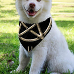 Viking Nordic Runes Pentagram Print Over The Collar Dog Bandana