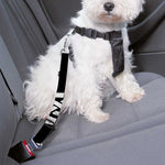 Viking Valhalla Symbol Print Dog Seat Belt
