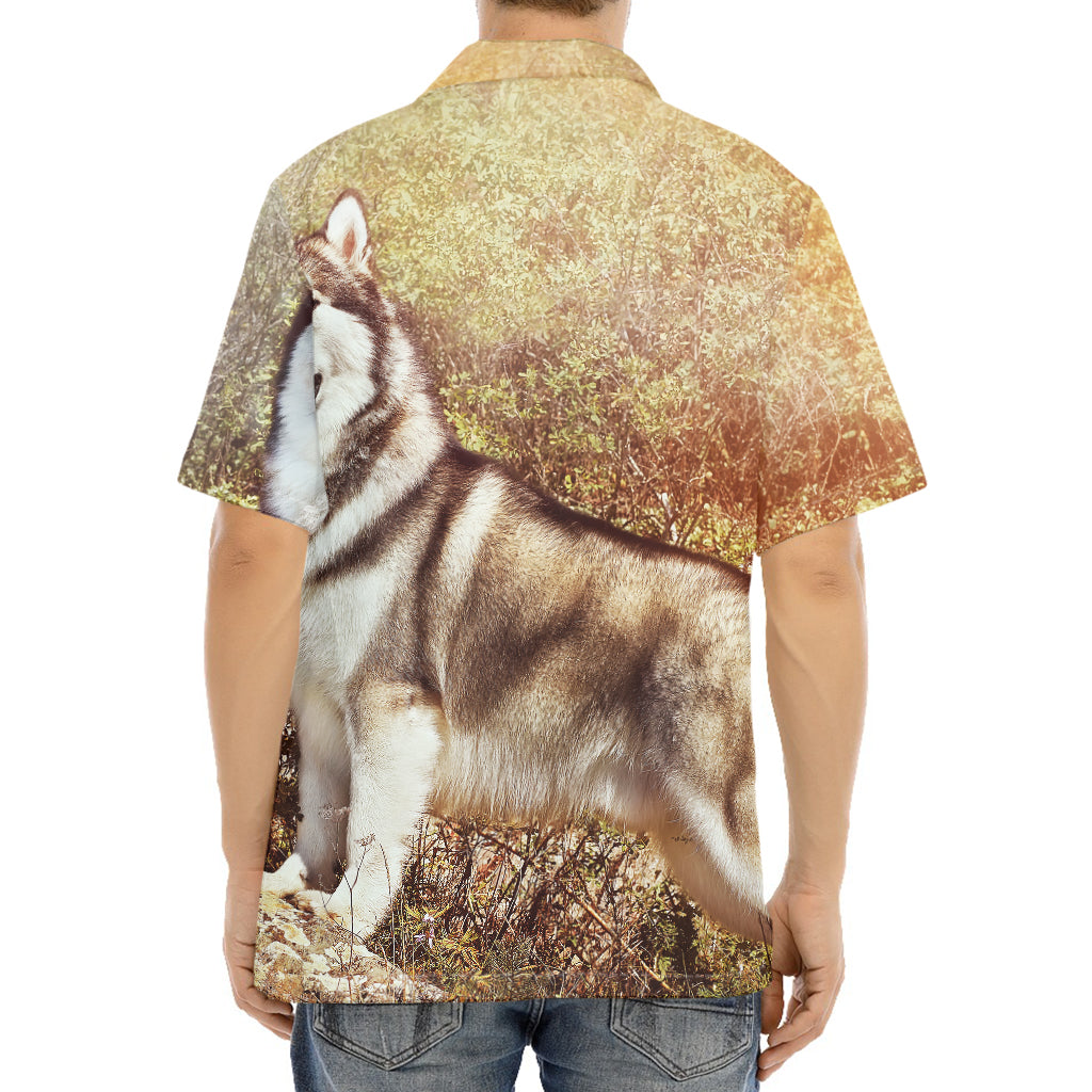 Vintage Alaskan Malamute Print Aloha Shirt