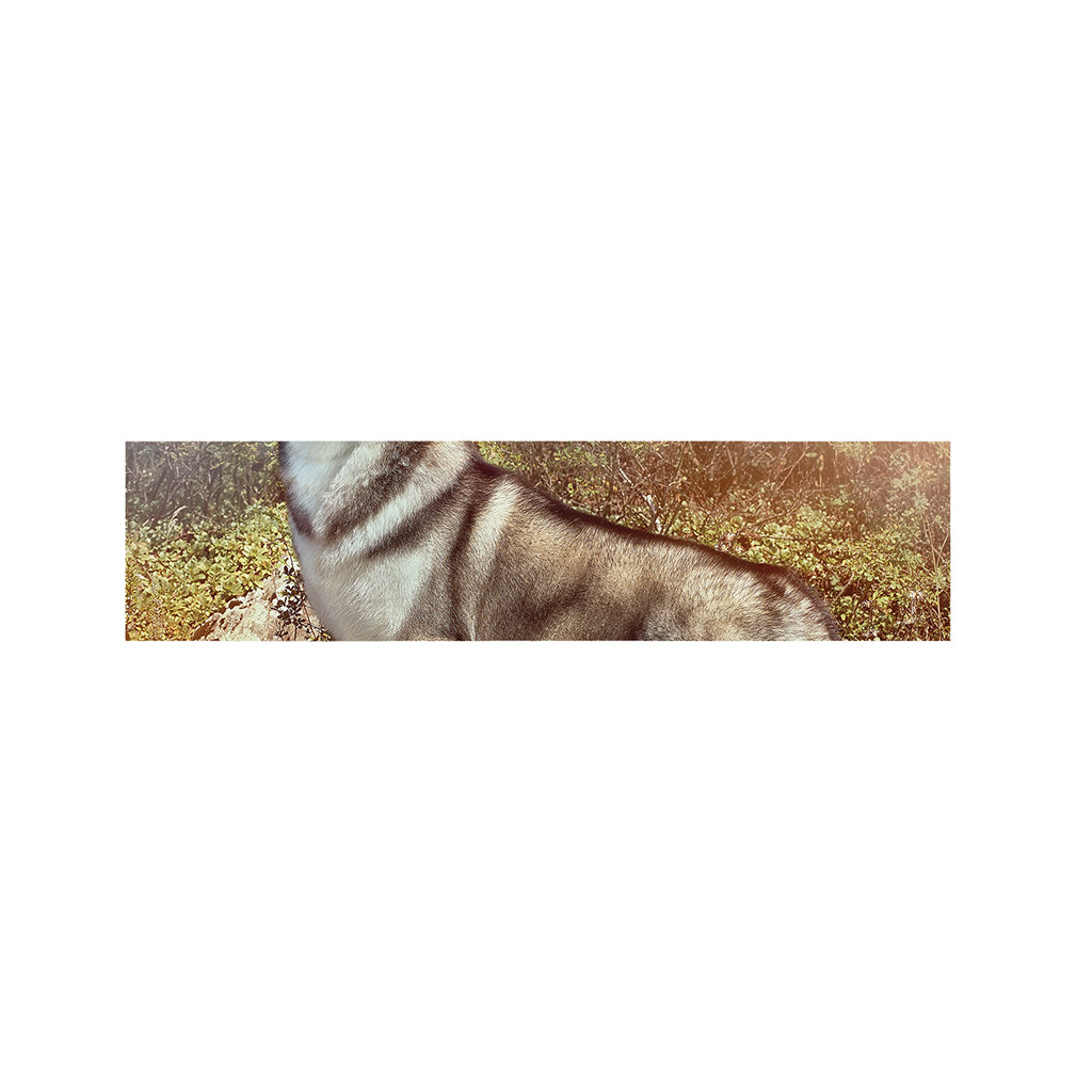 Vintage Alaskan Malamute Print Bed Runner