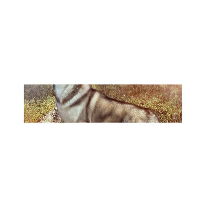 Vintage Alaskan Malamute Print Bed Runner