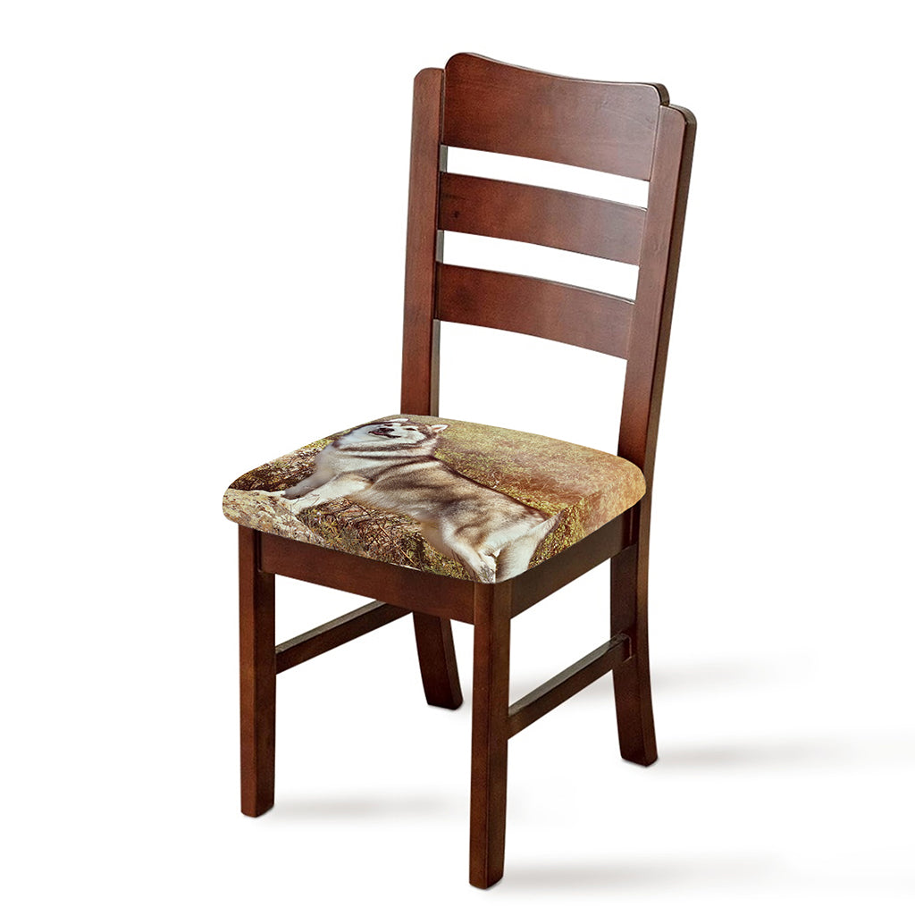 Vintage Alaskan Malamute Print Chair Cushion Cover