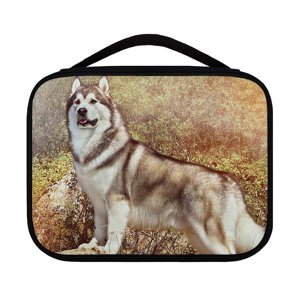 Vintage Alaskan Malamute Print Classic Bible Case