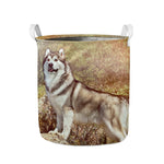 Vintage Alaskan Malamute Print Collapsible Laundry Basket
