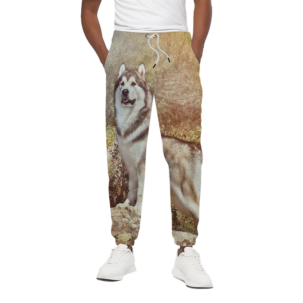Vintage Alaskan Malamute Print Cotton Pants