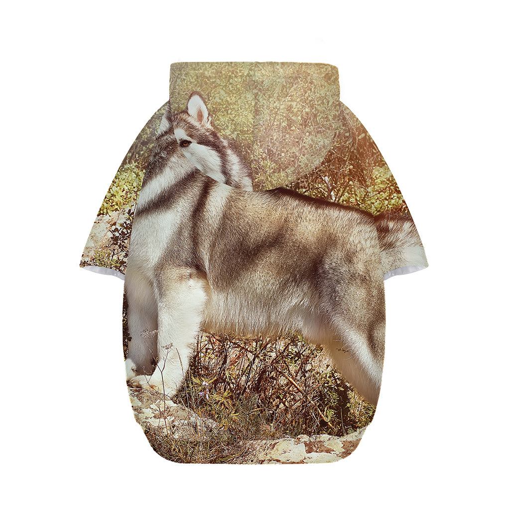 Vintage Alaskan Malamute Print Dog Zip Up Hoodie