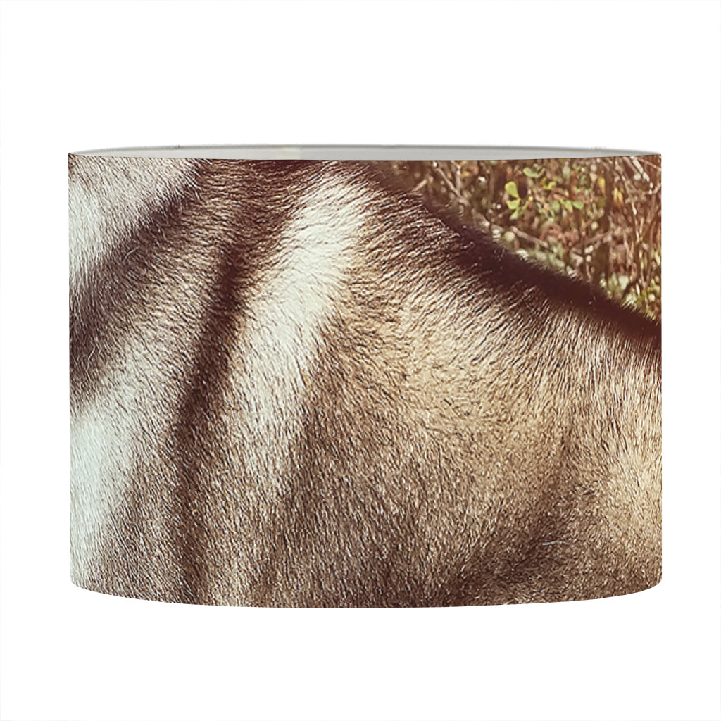 Vintage Alaskan Malamute Print Drum Lamp Shade