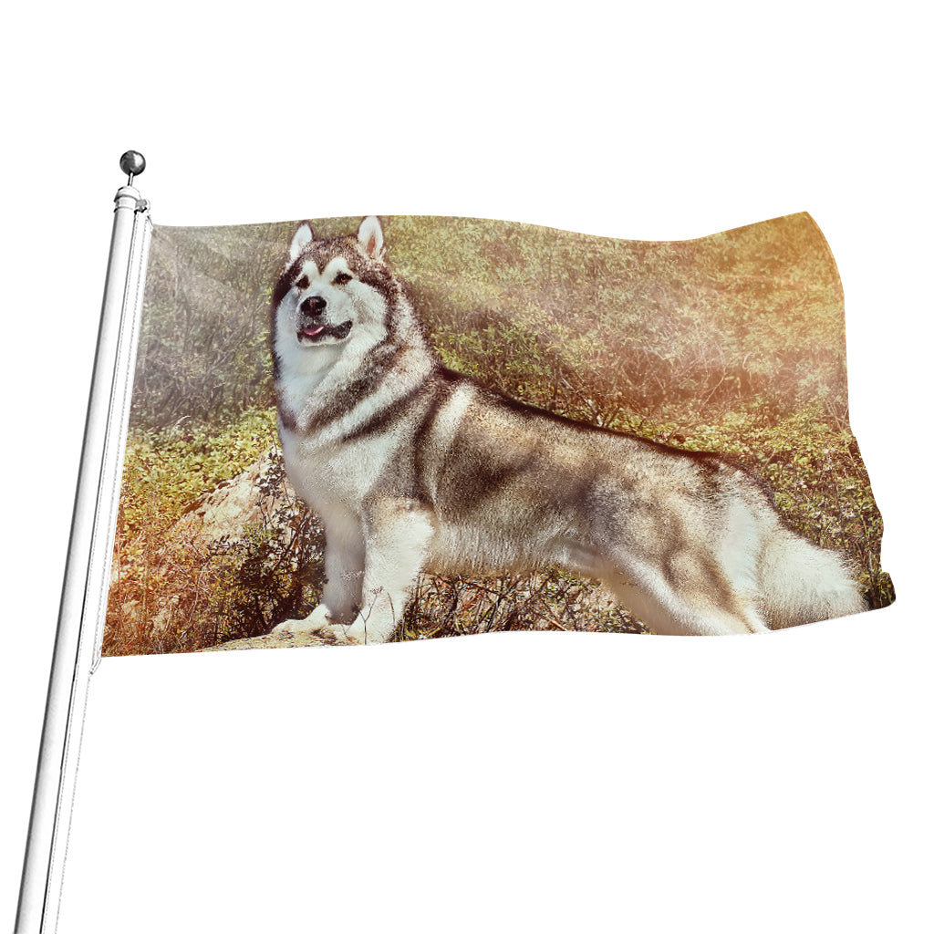 Vintage Alaskan Malamute Print Flag