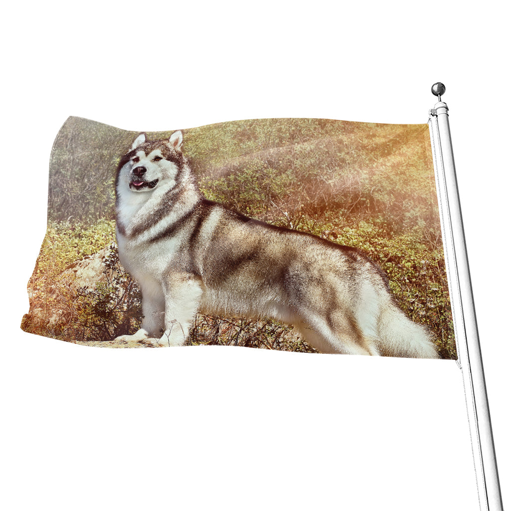 Vintage Alaskan Malamute Print Flag