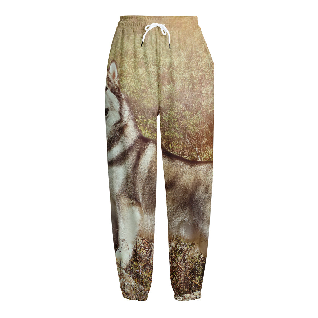 Vintage Alaskan Malamute Print Fleece Lined Knit Pants