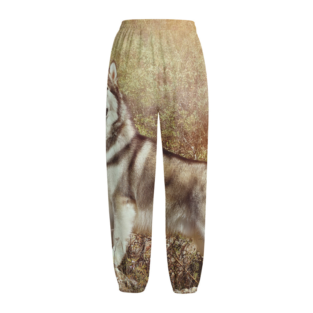 Vintage Alaskan Malamute Print Fleece Lined Knit Pants