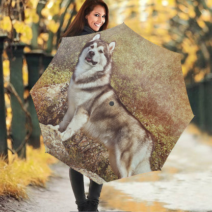 Vintage Alaskan Malamute Print Foldable Umbrella