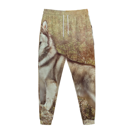 Vintage Alaskan Malamute Print Jogger Pants