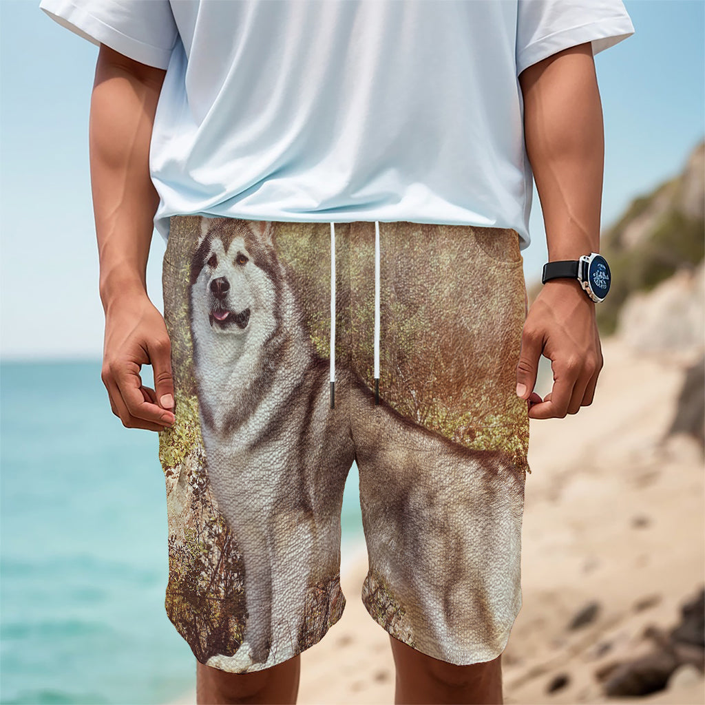 Vintage Alaskan Malamute Print Men's Cargo Shorts