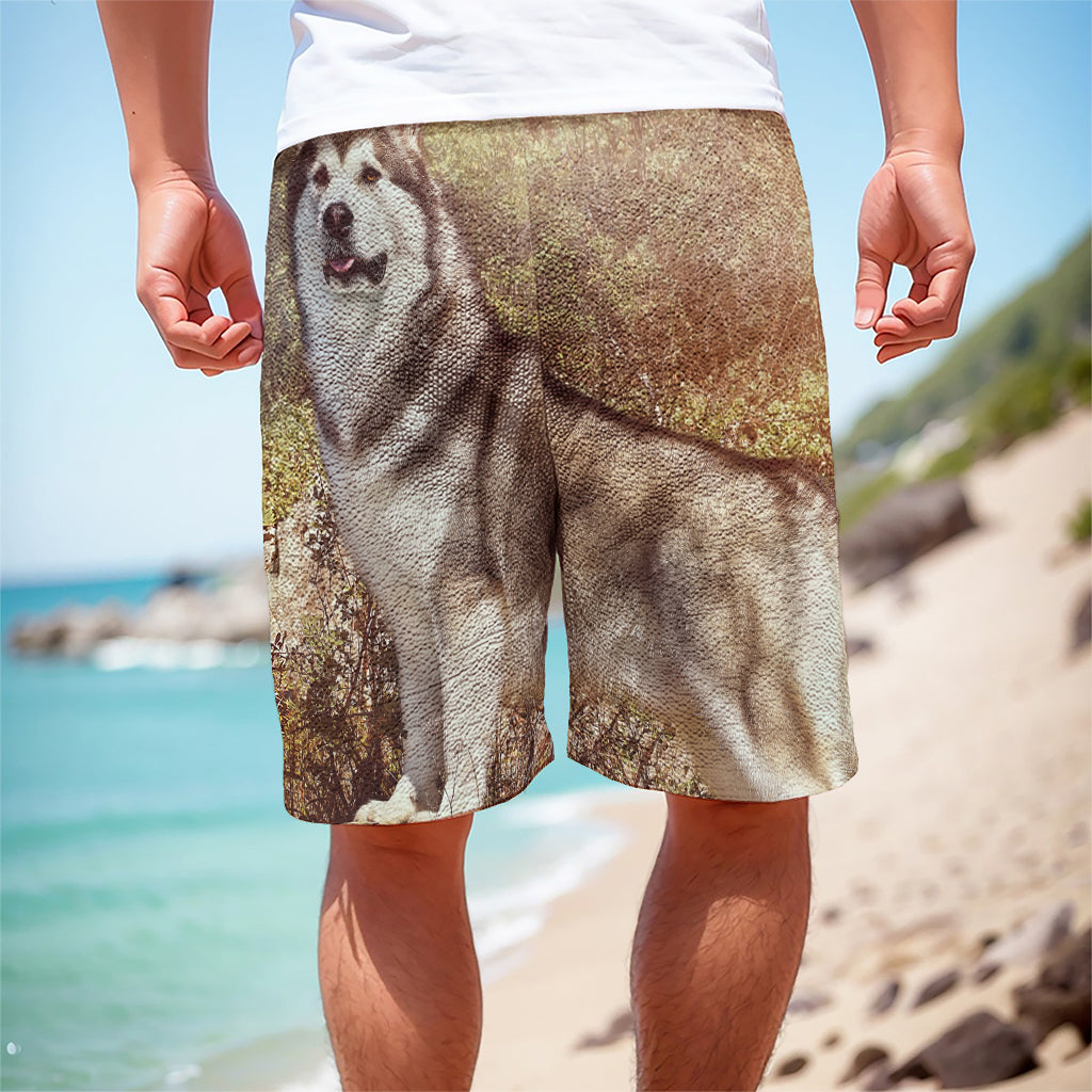 Vintage Alaskan Malamute Print Men's Cargo Shorts