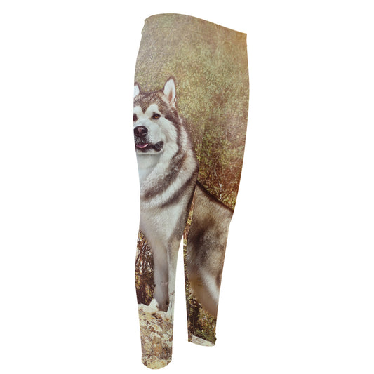 Vintage Alaskan Malamute Print Men's Compression Pants