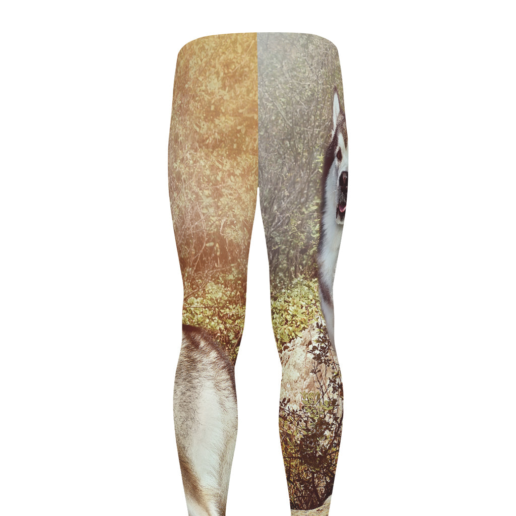 Vintage Alaskan Malamute Print Men's leggings