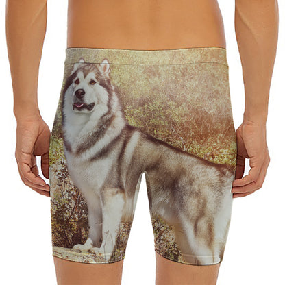 Vintage Alaskan Malamute Print Men's Long Boxer Briefs