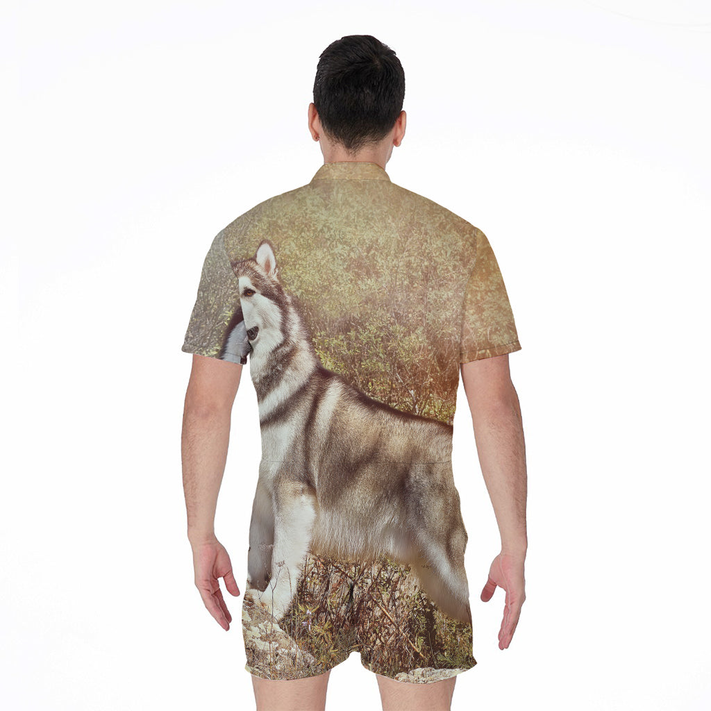 Vintage Alaskan Malamute Print Men's Rompers
