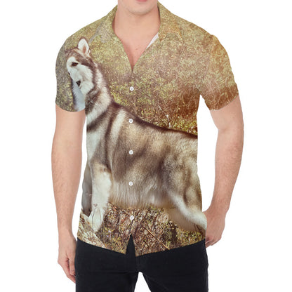 Vintage Alaskan Malamute Print Men's Shirt