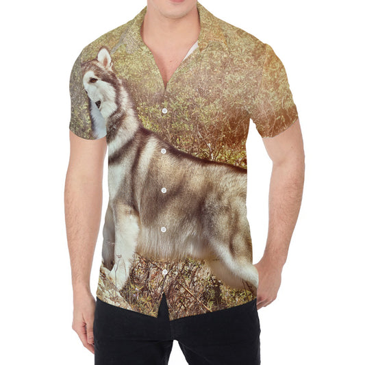 Vintage Alaskan Malamute Print Men's Shirt