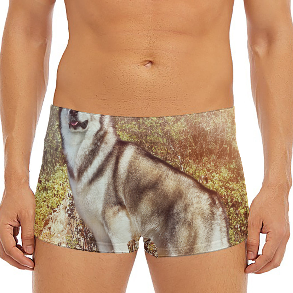 Vintage Alaskan Malamute Print Men's Short Boxer Briefs