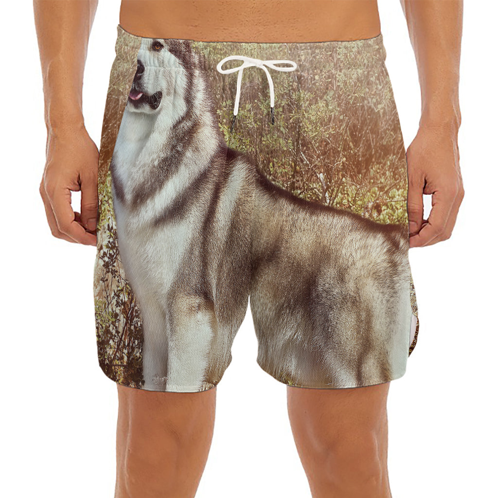 Vintage Alaskan Malamute Print Men's Split Running Shorts