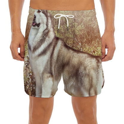 Vintage Alaskan Malamute Print Men's Split Running Shorts